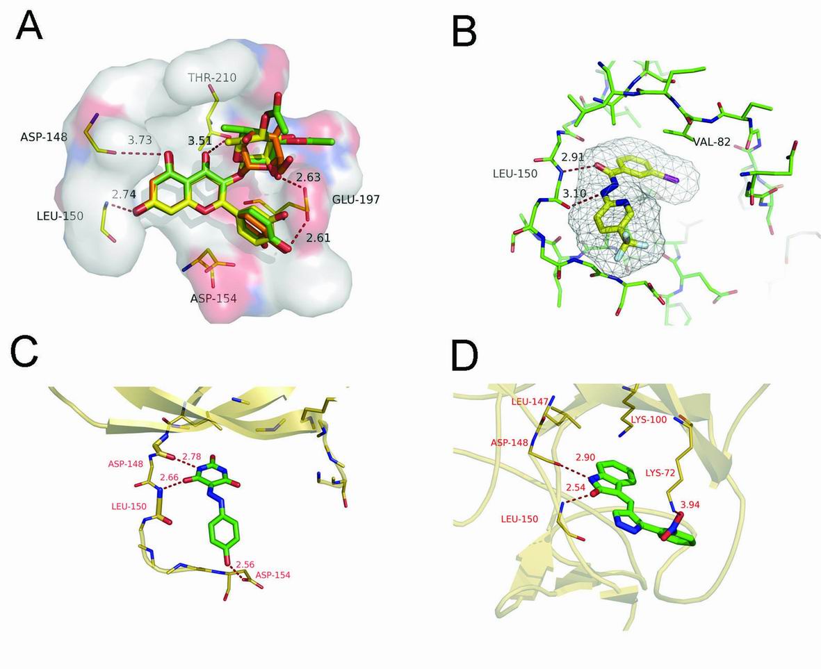 Identification of RSK2 inhibitors